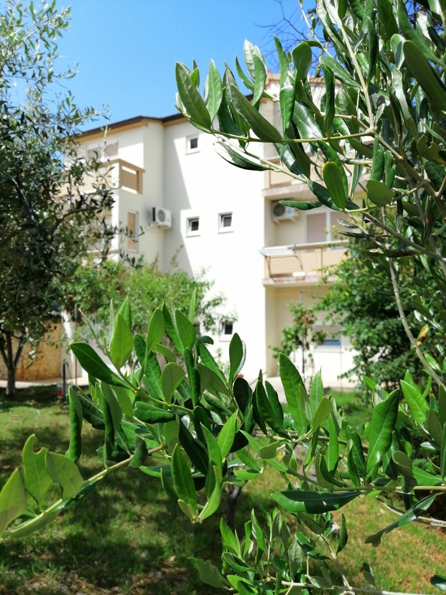 Apartments Monika Нин Экстерьер фото